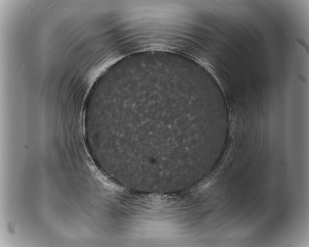 X0000101950987200808011042