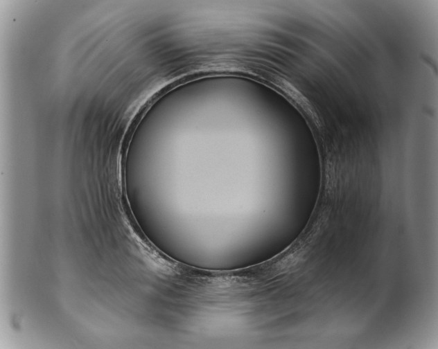 X0000101950988200808011042