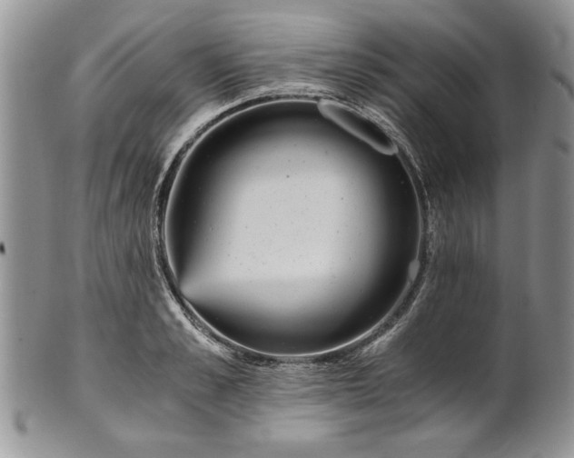 X0000101950989200808011042