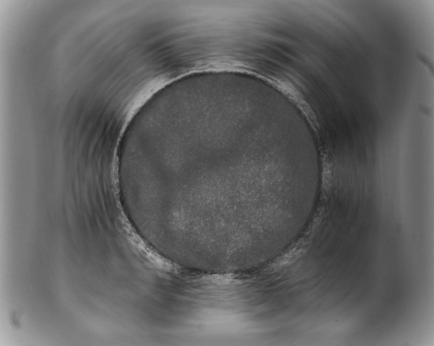 X0000101950990200808011042