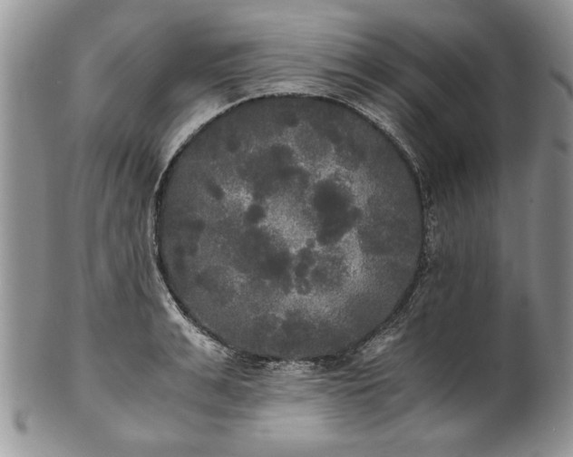 X0000101950991200808011042