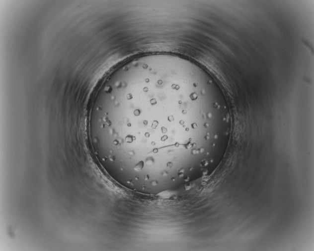 X0000101950992200808011042