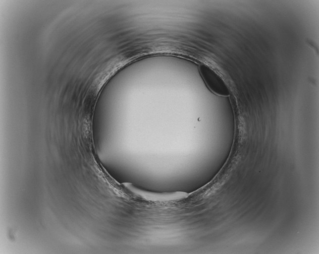 X0000101950993200808011041