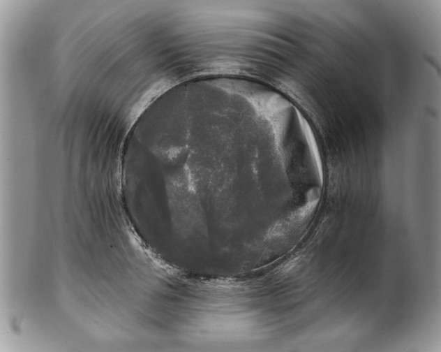 X0000101950994200808011041