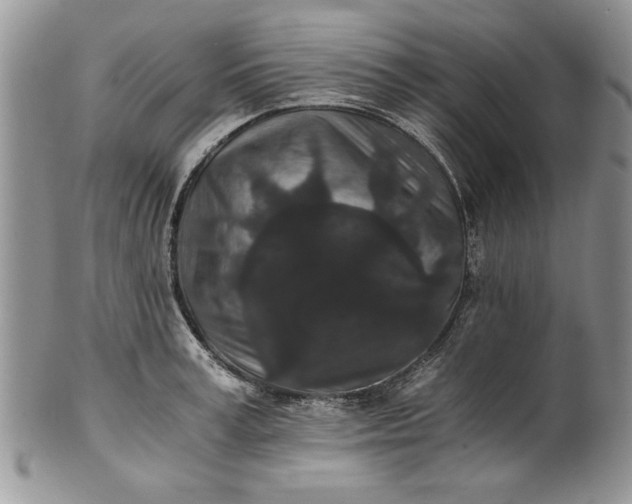 X0000101950995200808011041