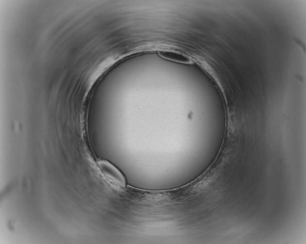 X0000101950997200808011041