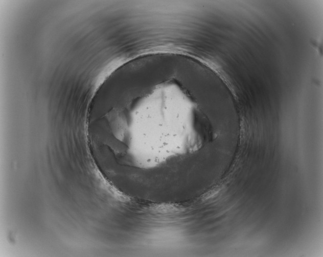 X0000101950998200808011041