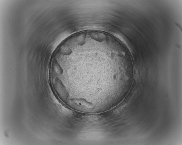 X0000101950999200808011041