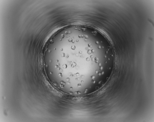 X0000101951000200808011041