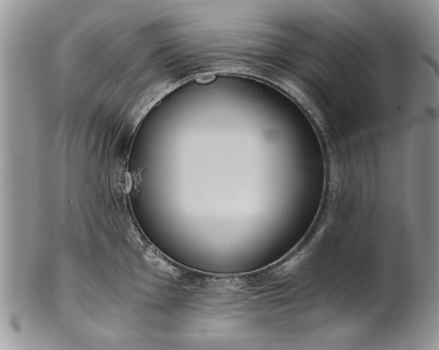 X0000101951001200808011041