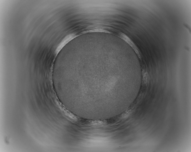 X0000101951002200808011041