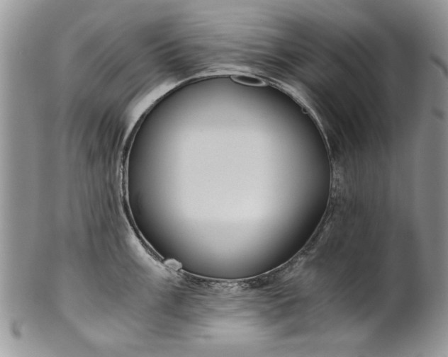 X0000101951003200808011041