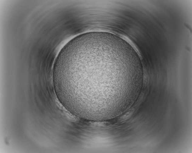 X0000101951004200808011041