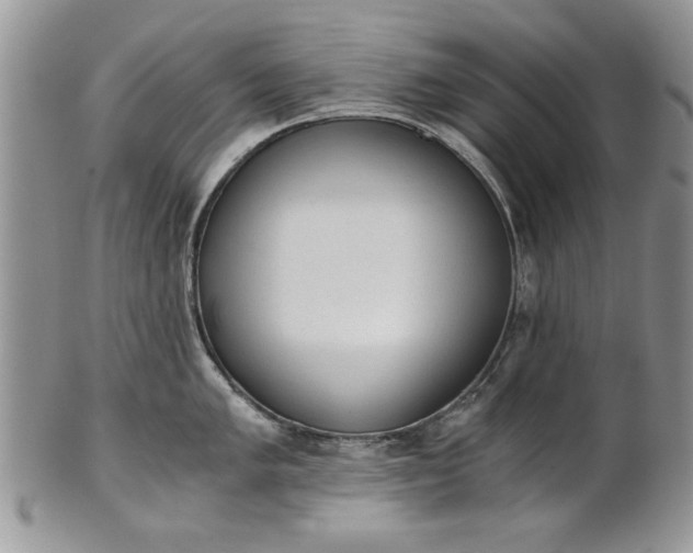 X0000101951005200808011041