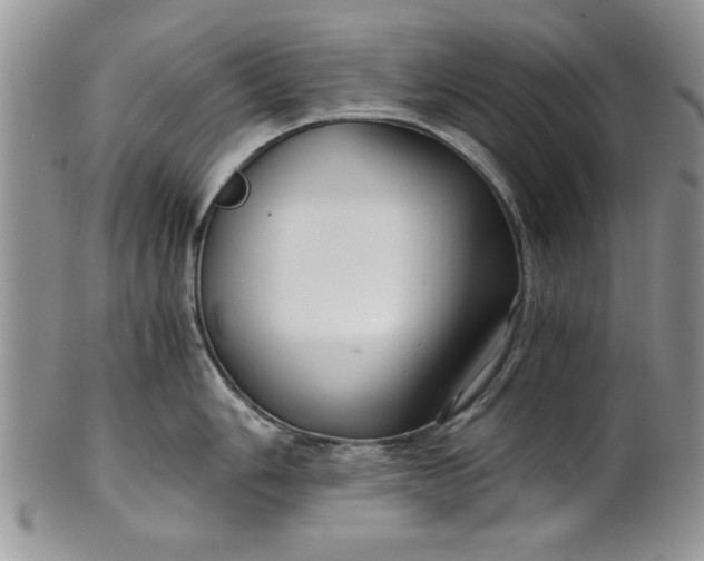 X0000101951006200808011041