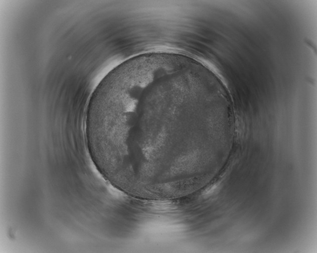 X0000101951007200808011041