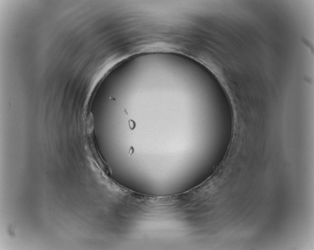 X0000101951008200808011041