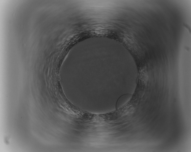 X0000101951009200808011041