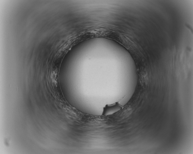 X0000101951010200808011041