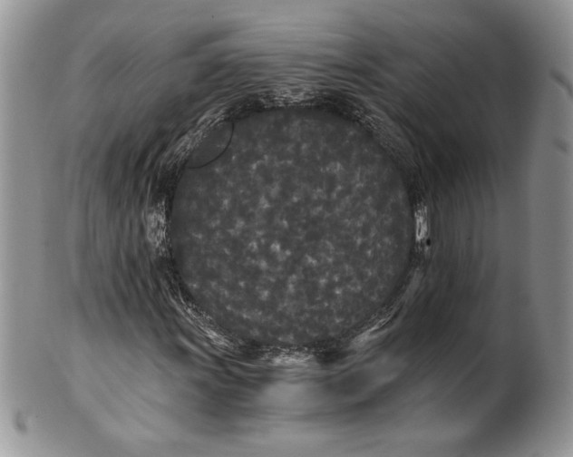 X0000101951011200808011041