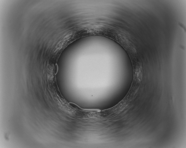 X0000101951012200808011041