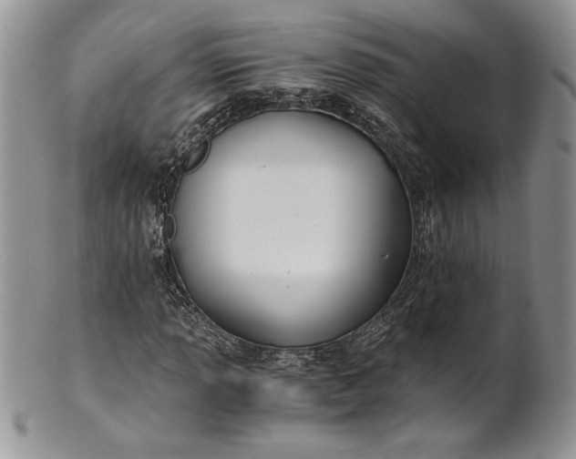 X0000101951013200808011041