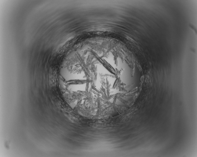 X0000101951014200808011041