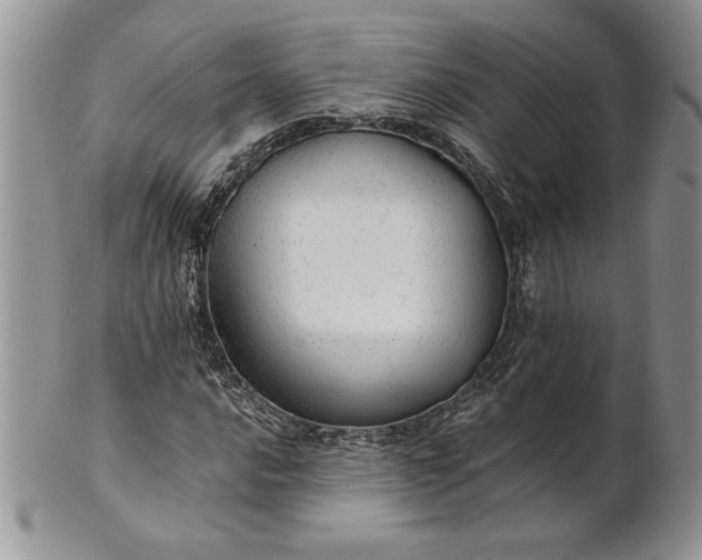 X0000101951016200808011041