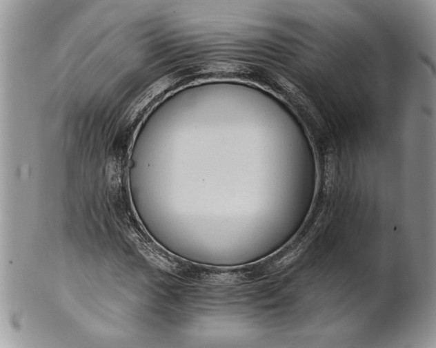 X0000101951017200808011041