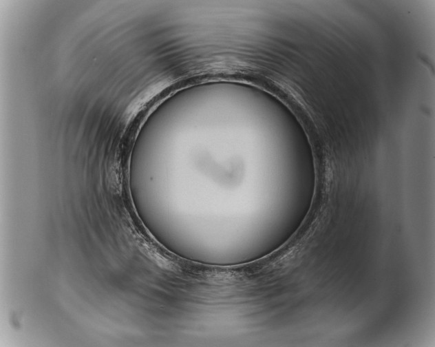 X0000101951018200808011041