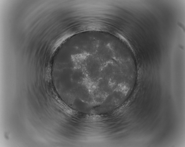 X0000101951019200808011041