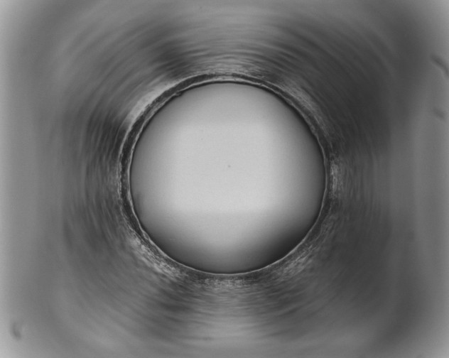 X0000101951020200808011041