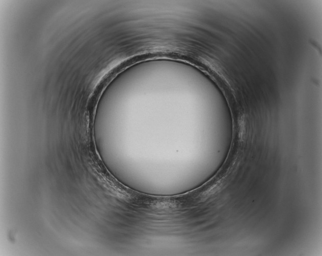 X0000101951021200808011041