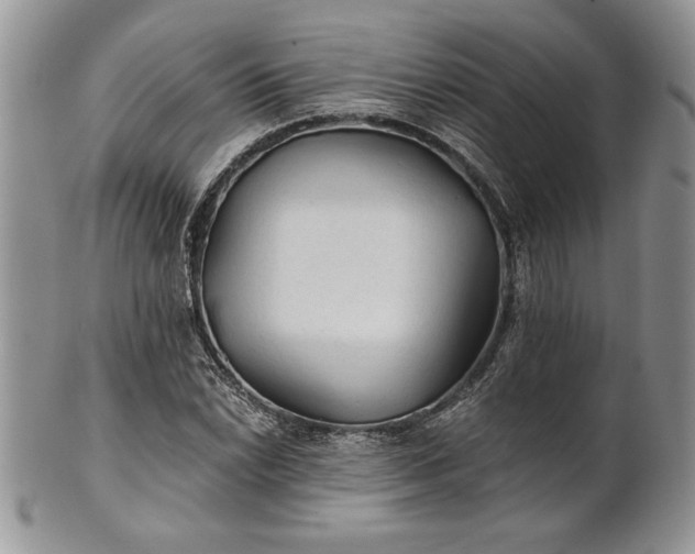 X0000101951022200808011041