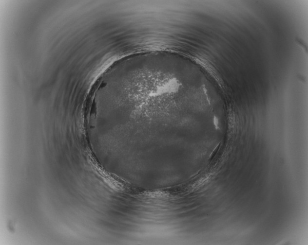 X0000101951023200808011041