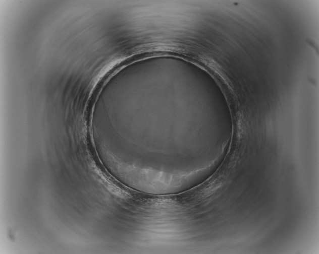 X0000101951024200808011041