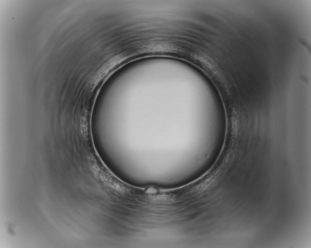 X0000101951025200808011041