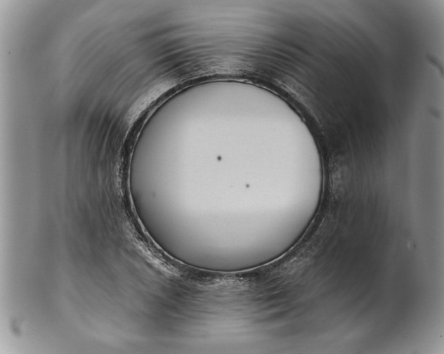 X0000101951026200808011041