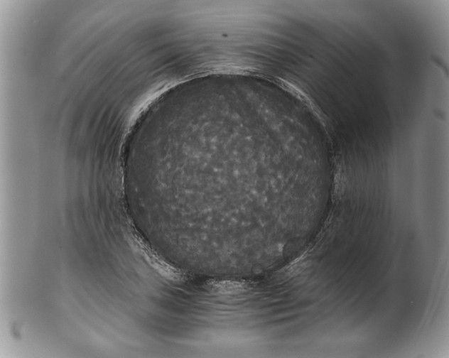 X0000101951027200808011041