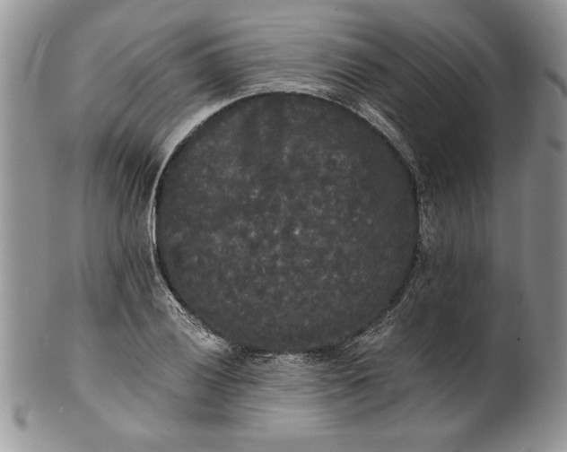 X0000101951028200808011041