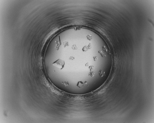 X0000101951029200808011041