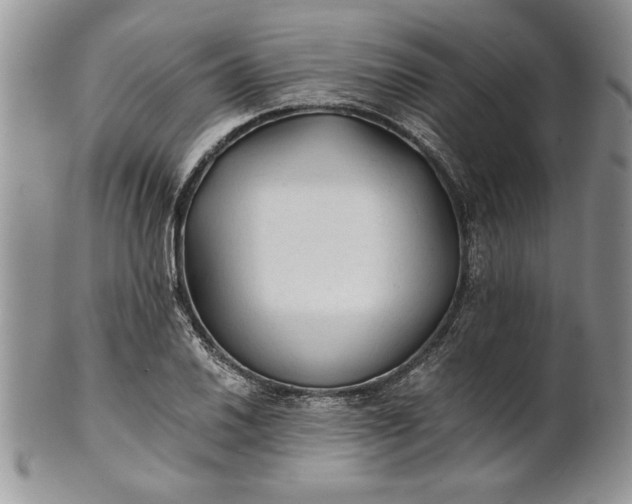 X0000101951030200808011041