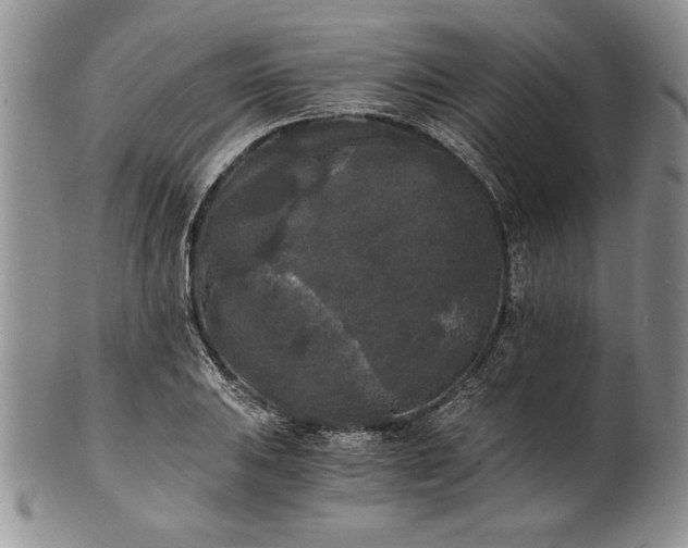 X0000101951031200808011041