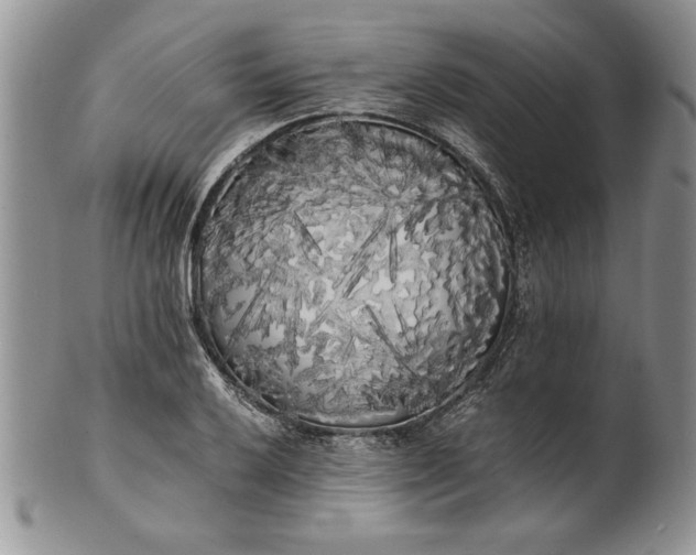 X0000101951032200808011041