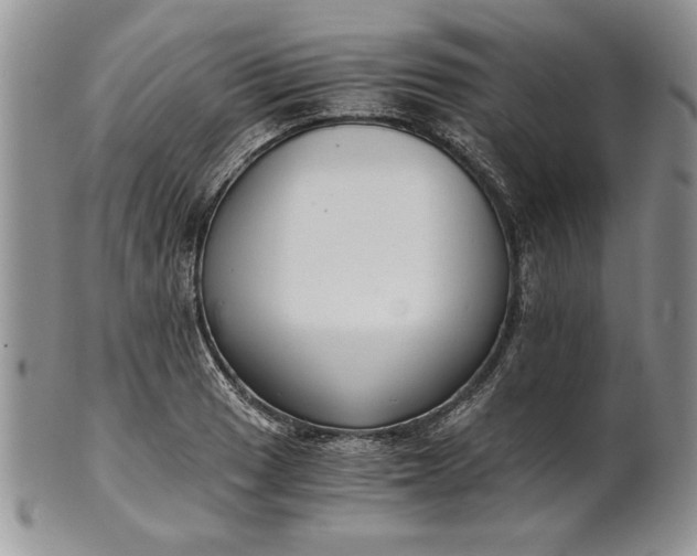 X0000101951033200808011041