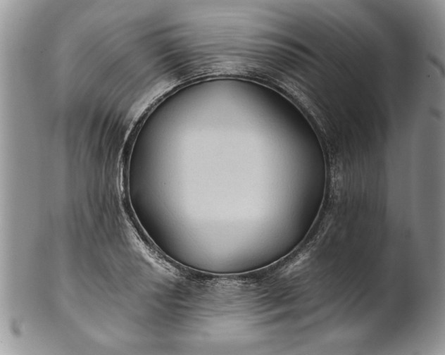 X0000101951034200808011041