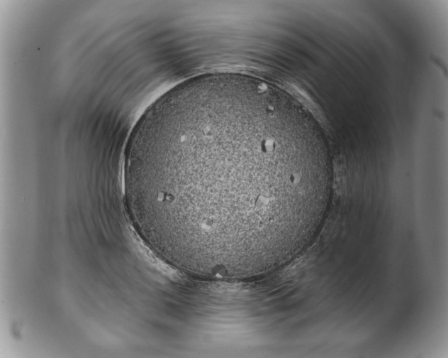 X0000101951036200808011041