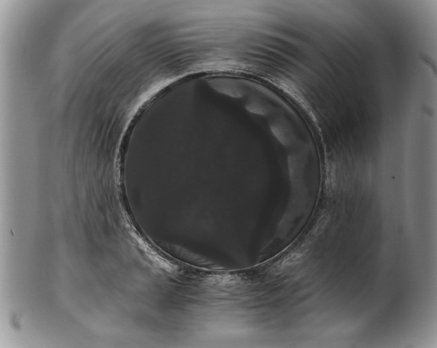 X0000101951037200808011041