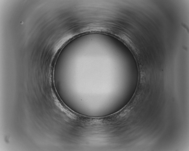 X0000101951038200808011041