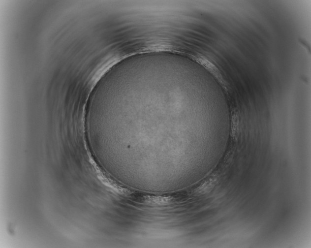 X0000101951039200808011041